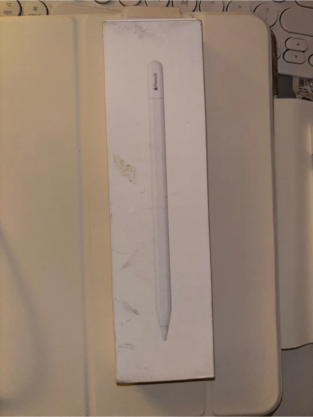iPad Pro pencil stylist (USB-C)- White